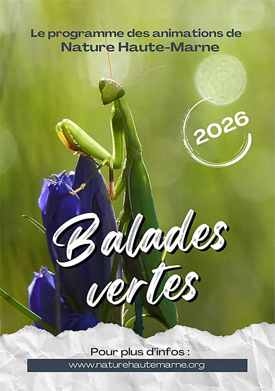 Balades Vertes en Haute-Marne : Orchidées, vigne et permaculture